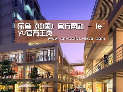 案例展示一
