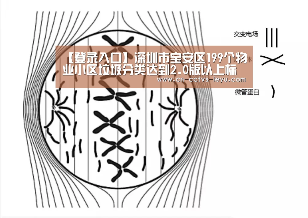 【登录入口】深圳市宝安区199个物业小区垃圾分类达到2.0版以上标准(图3) 乐鱼VIP注册app下载