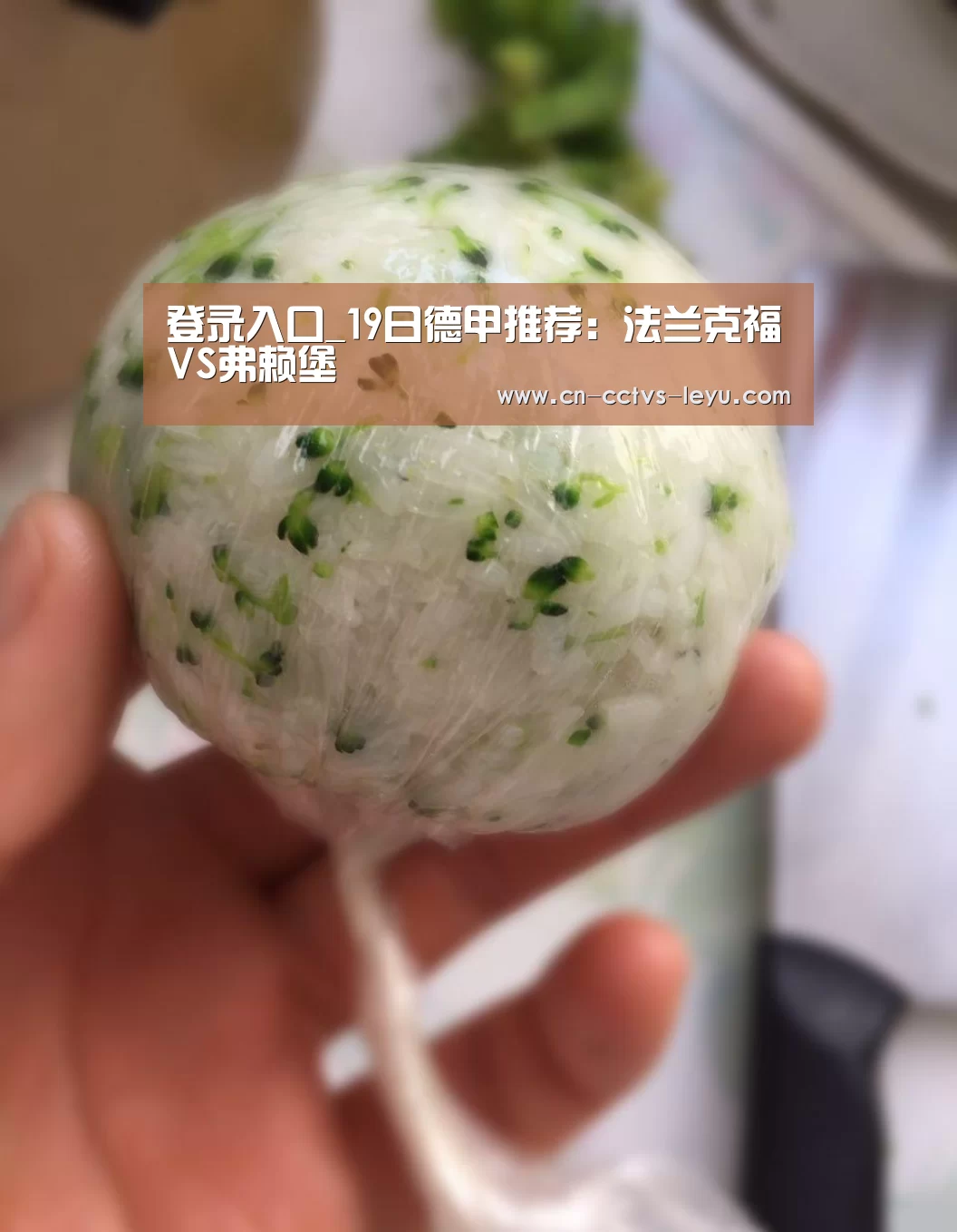 登录入口