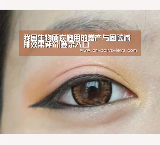 我国生物质炭施用的增产与固碳减排效果评价|登录入口(图1) 乐鱼VIP注册app下载