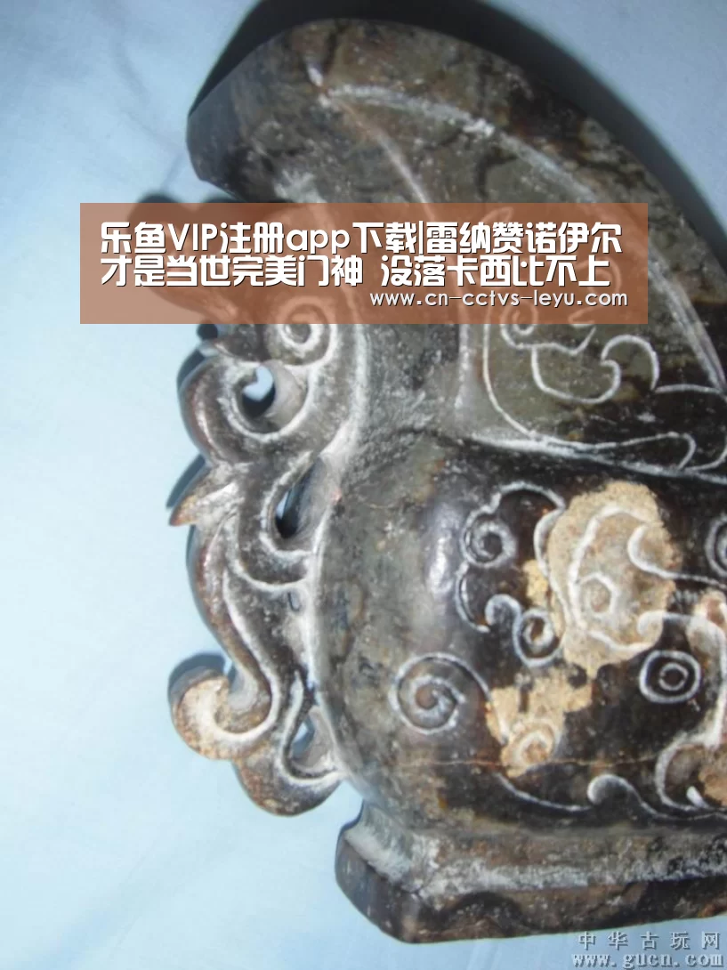 乐鱼VIP注册app下载|雷纳赞诺伊尔才是当世完美门神 没落卡西比不上(图4) leyu sports