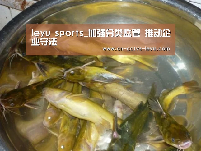 乐鱼体育