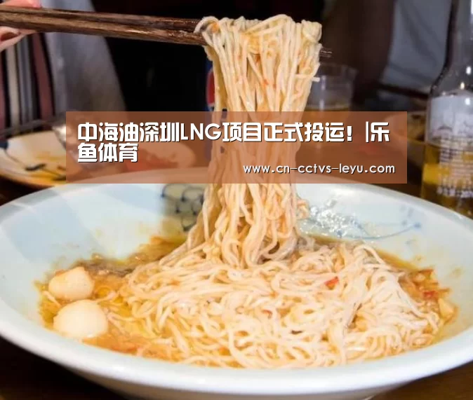 中海油深圳LNG项目正式投运!|乐鱼体育(图1) leyu sports