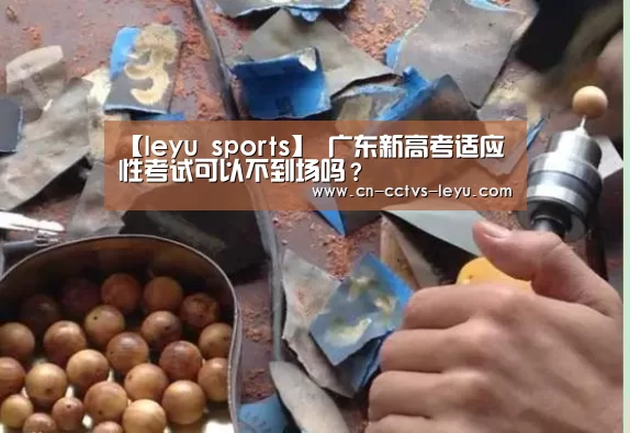 登录入口