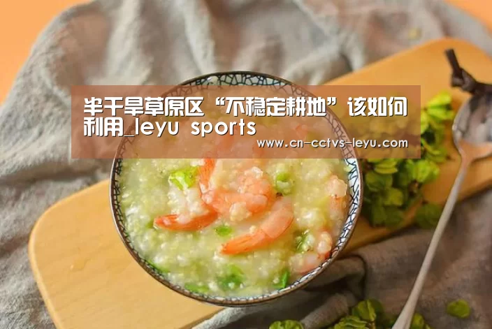 半干旱草原区“不稳定耕地”该如何利用_leyu sports(图2) leyu sports