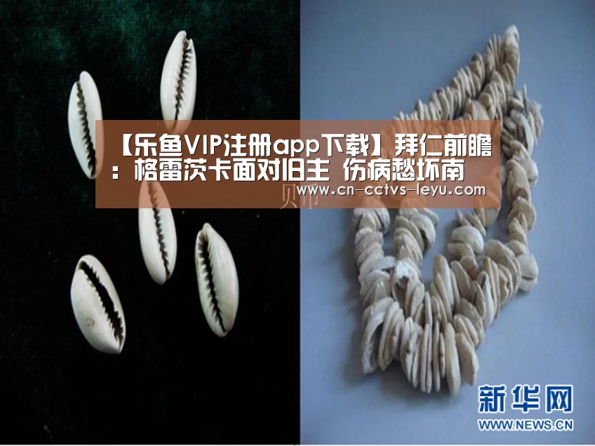 【乐鱼VIP注册app下载】拜仁前瞻:格雷茨卡面对旧主 伤病愁坏南部之星(图4) 登录入口