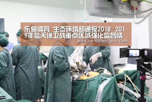 乐鱼体育_生态环境部通报2018-2019年蓝天保卫战重点区域强化监督情况(11月27日)(图1) leyu sports