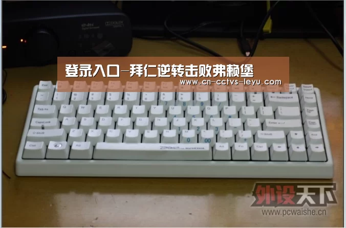 乐鱼体育