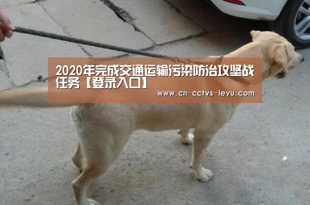 2020年完成交通运输污染防治攻坚战任务【登录入口】(图3) 乐鱼体育